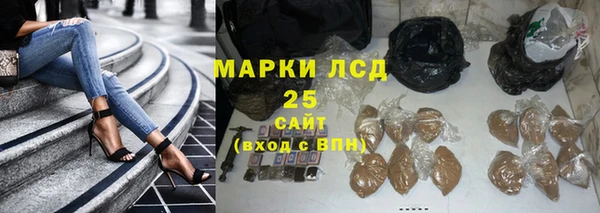 прущие грибы Балабаново